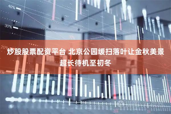 炒股股票配资平台 北京公园缓扫落叶让金秋美景超长待机至初冬