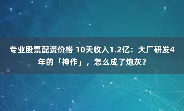 专业股票配资价格 10天收入1.2亿：大厂研发4年的「神作」，怎么成了炮灰？